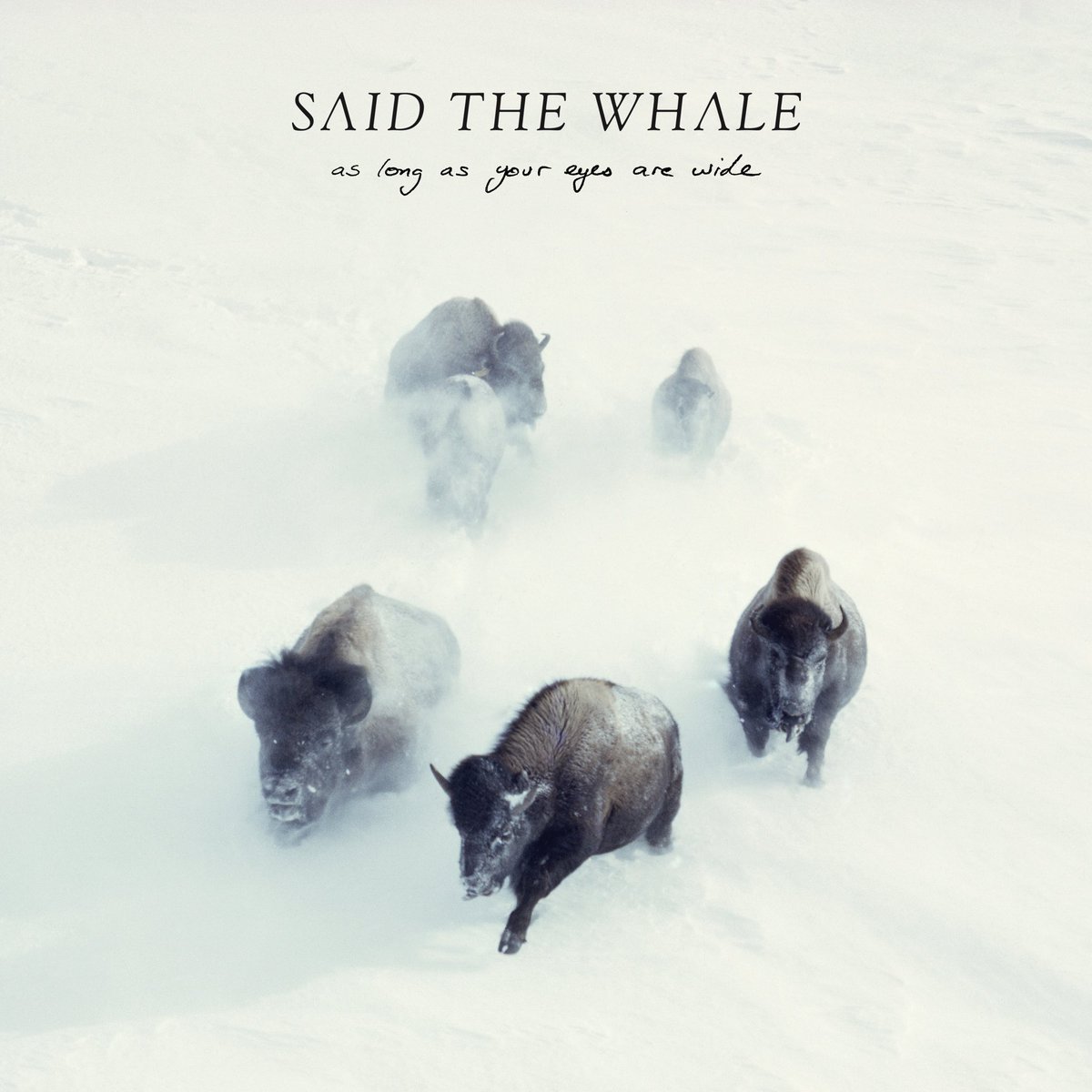 saidthewhale's tweet image. &apos;As Long As Your Eyes Are Wide&apos; is out March 31, 2017. Tour dates to follow!