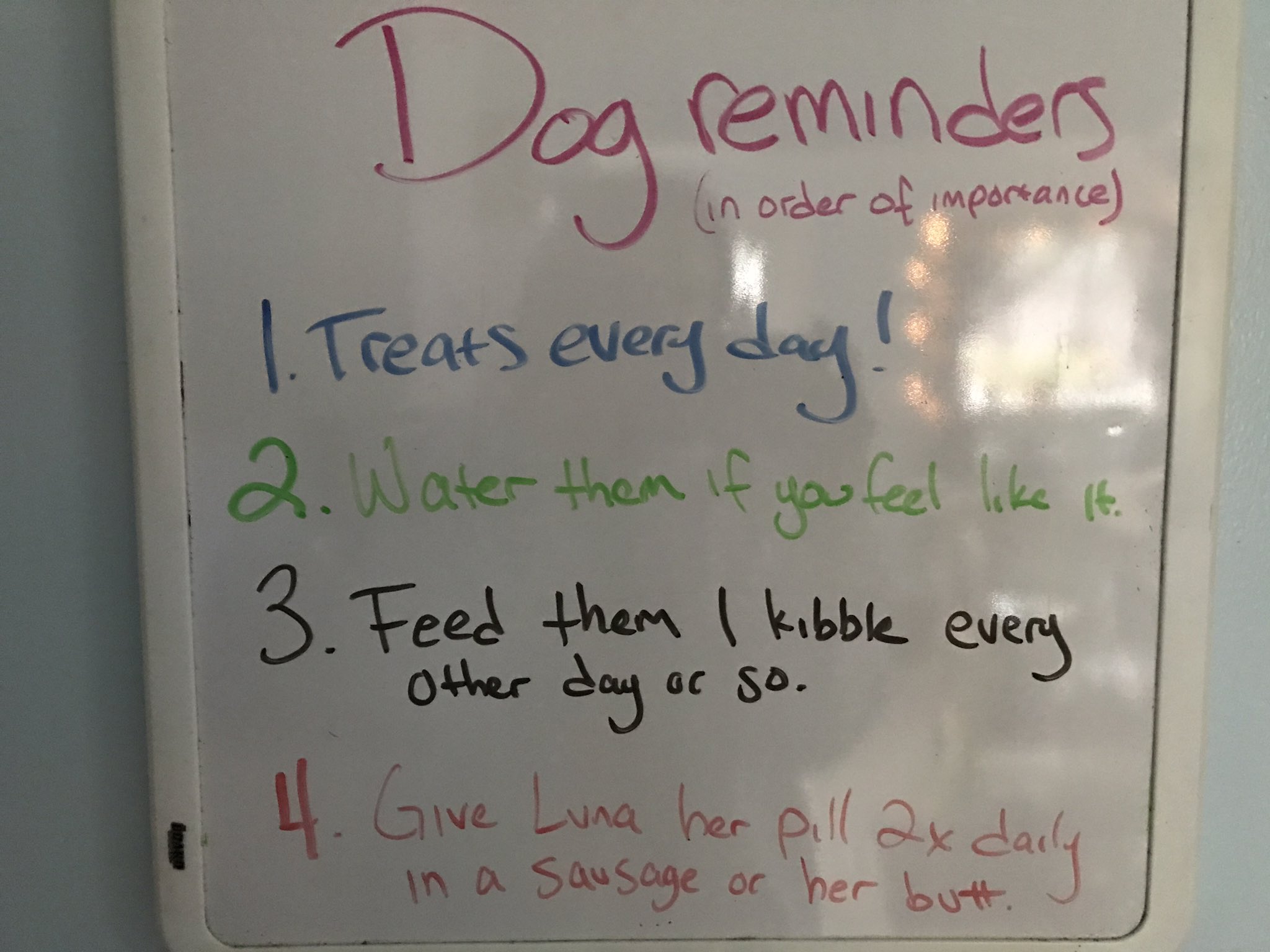 TW Pornstars Fauna Grey. Twitter. Notes I leave my dog sitter while I