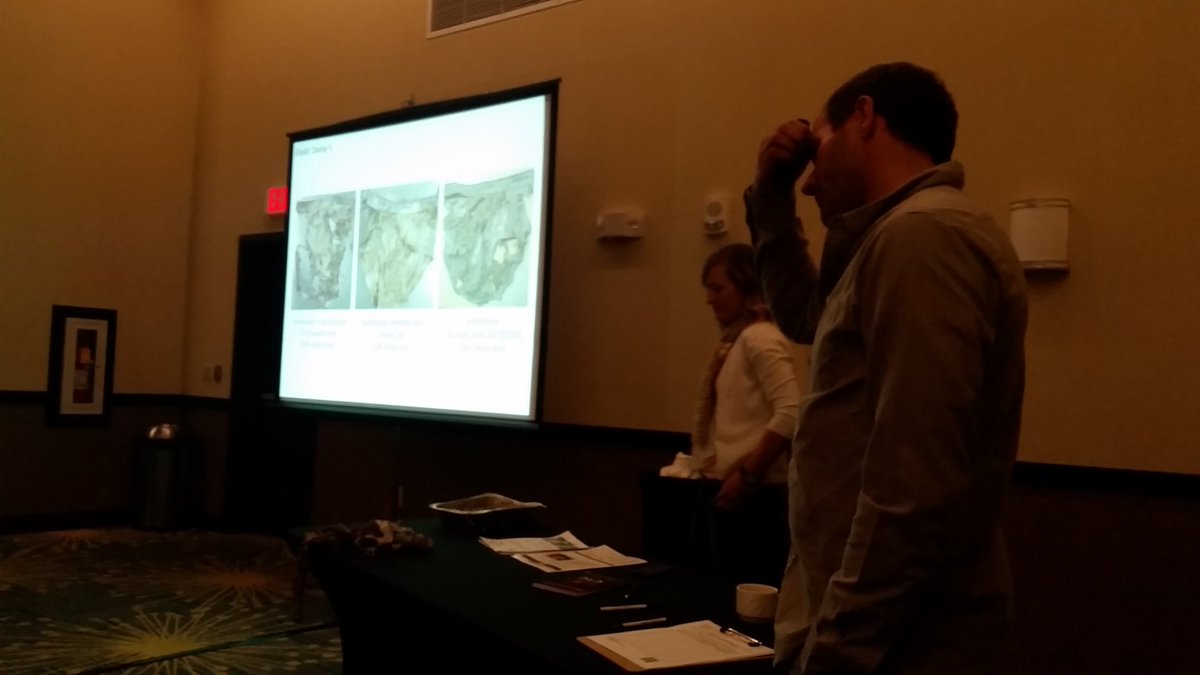 woody_VA's tweet photo. Want learn about your soil health try #soilyourundies test for fun
#ctc2016 
@toussaintnick2 
@NDSUsoilhealth https://t.co/07FjKSk7Nh