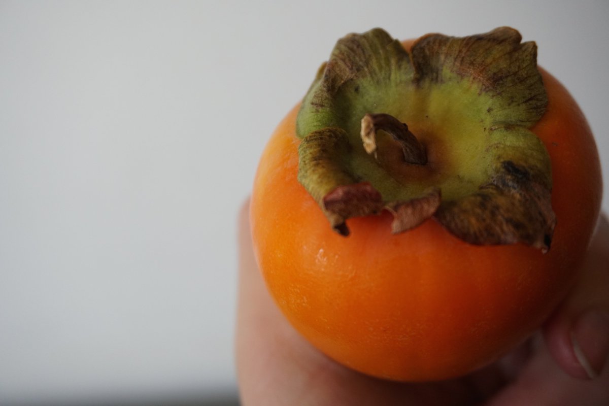 Perfect persimmons for our bitter lettuce salad with torn bread, dukkah, crème fraiche-poppyseed dressing #unionpasadena #persimmon #winter