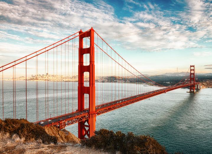 siliconrepublic's tweet image. #SciTech100 leaders flying the #Irish flag for some of the biggest names Stateside siliconrepublic.com/companies/sci-…