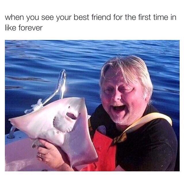 WholesomeMemes (@wholesomememe) on Twitter photo 