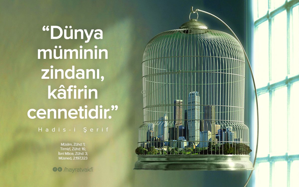 Yalangoch onalar bilan aqldan ozgan jinsiy aloqa