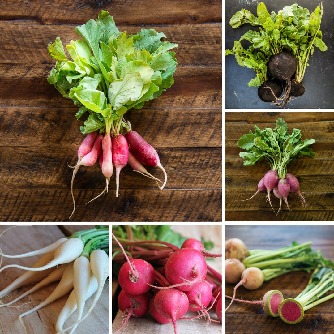 texasfarmhouse's tweet image. Still wary of this rad root? Roasting radishes causes their spicy flavor to give way to a buttery sweetness. #rootveggies #transformation