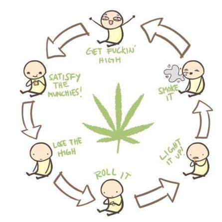 KIDKAY7's tweet photo. Roll up the good weed https://t.co/zeJzPXDKsS
