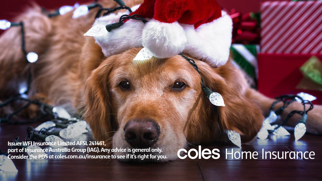 Coles House Insurance Quote 44billionlater Compare House Insurance Quotes Jgospel Us 0 Replies Retweets Likes Coles Fin Services Colesfinservice Twitter