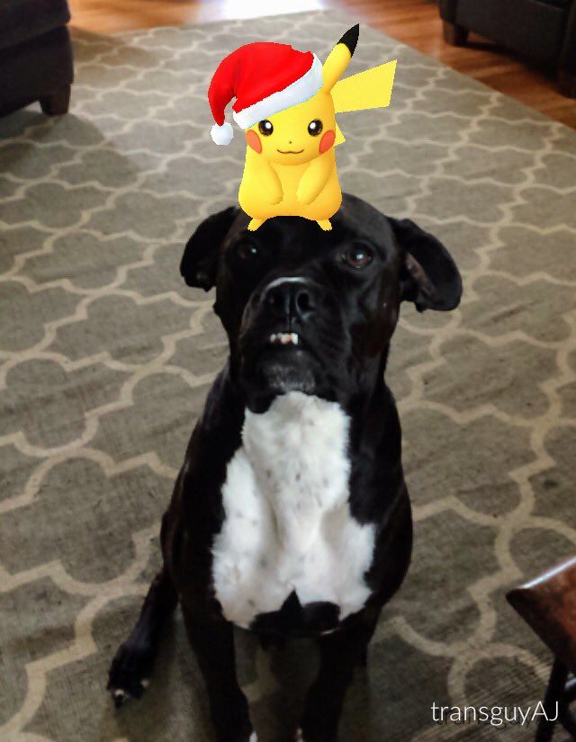 jnifferc's tweet photo. #HolidayPikachu https://t.co/9eTprPvPrN