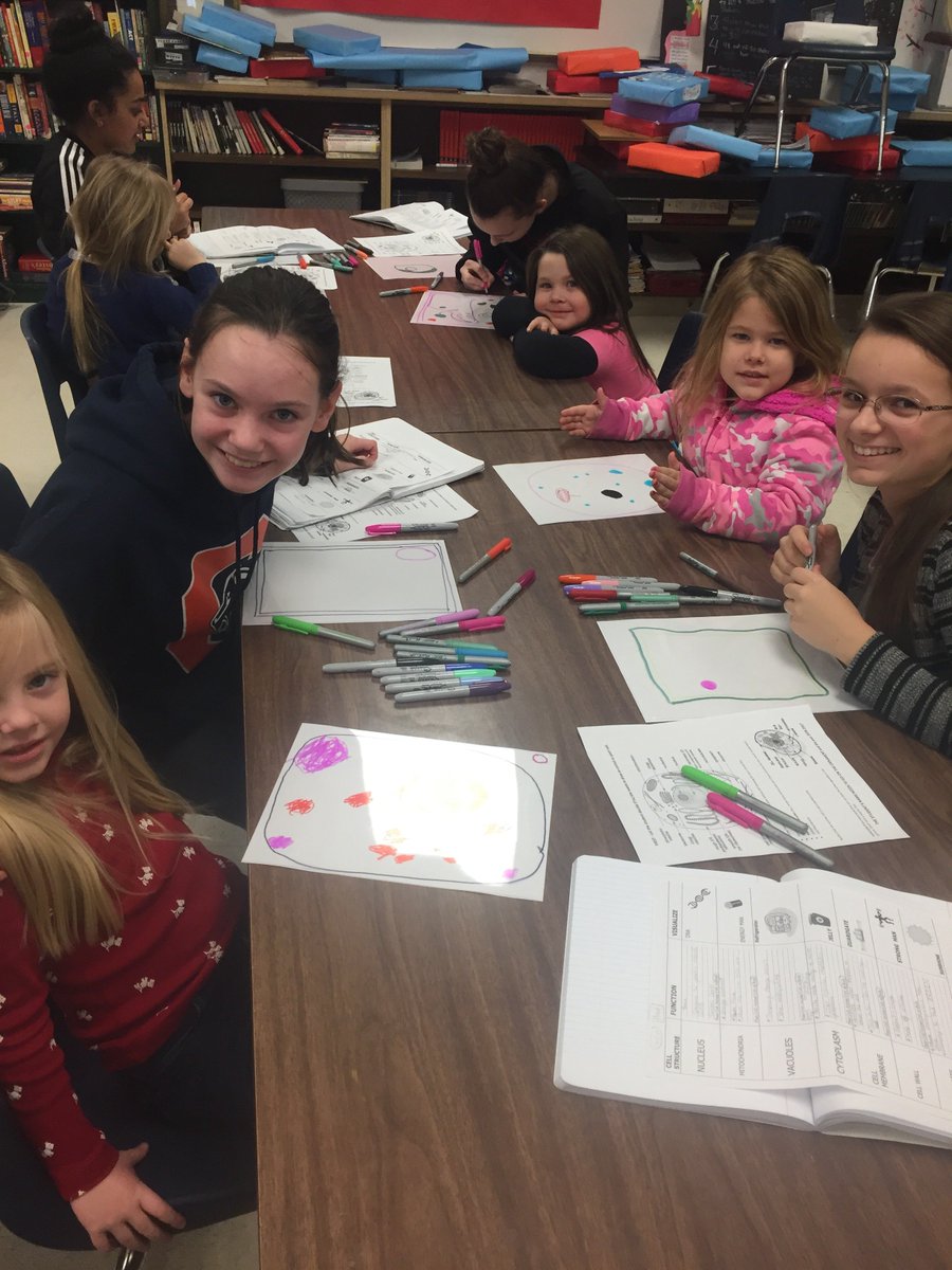 cgswildcats's tweet photo. Afternoon 4k students learning about plant and animal cells with help from the 7th Graders! #mentoring #learningaboutcells @infopublicd1 https://t.co/fjQ2c1ZptH