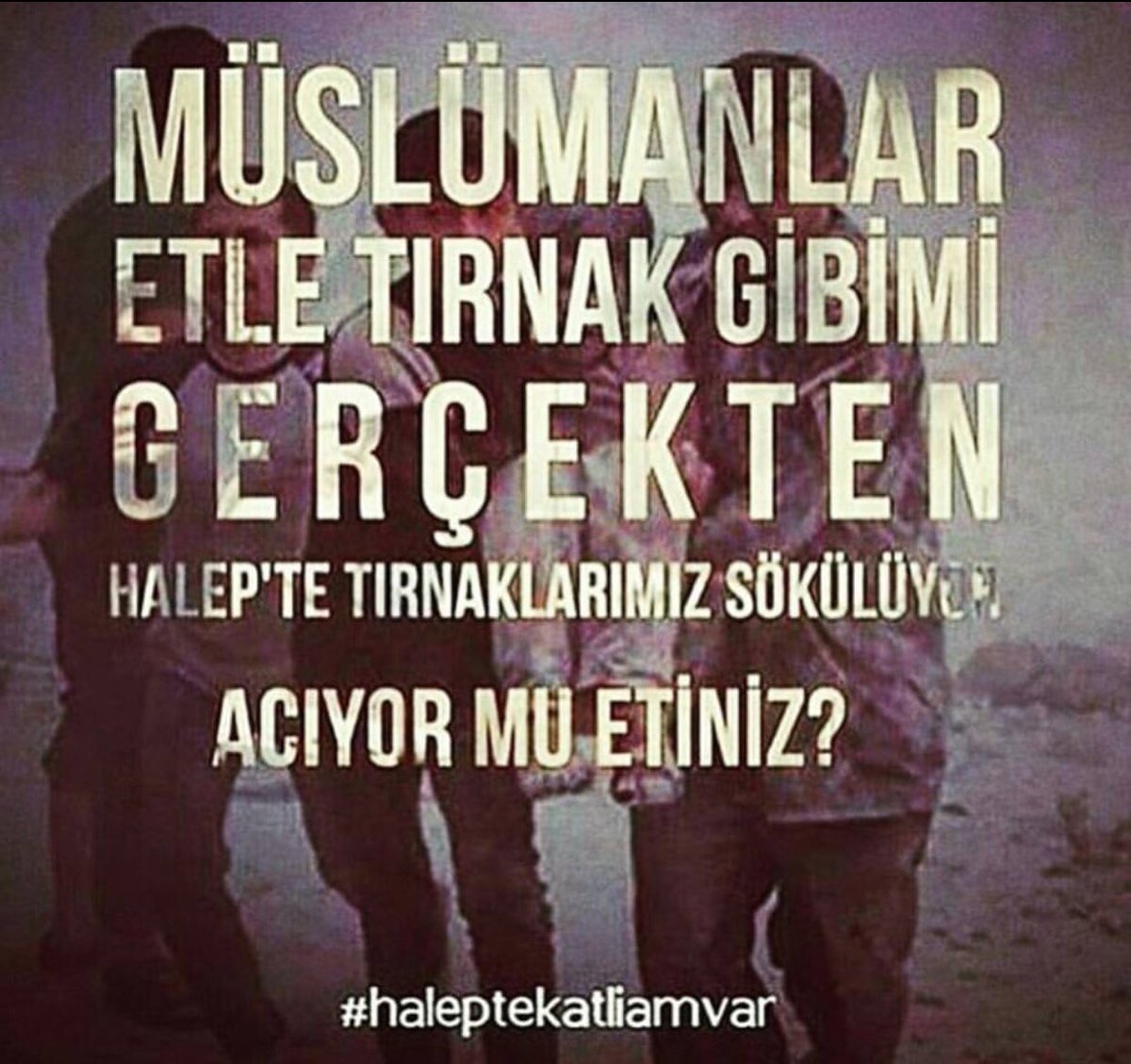 EyypKck's tweet photo. İnsanların evlerine bombaların,
sofralarına açlığın düştüğü kadim
şehir,insanlarıyla birlikte haritadan siliniyor.#HalepteKaliamVar https://t.co/asI27lR88W