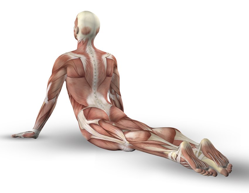 trigenicscanada's tweet photo. Centralization of pain can be accomplished with McKenzie extension exercises #trigenics #neurology https://t.co/fOugb933Lb