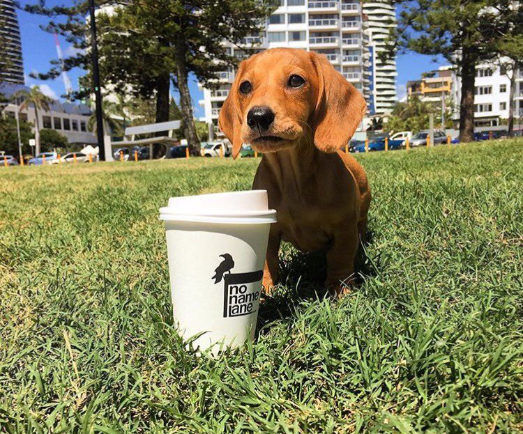 No Name Lane tweet media