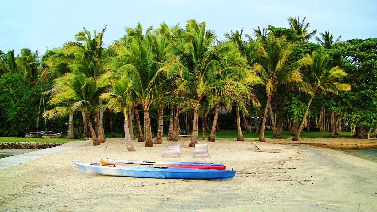 _Celestielle_'s tweet photo. If you're looking for an island paradise, then @dolphinfiji is the place for you! #seenandlovedit https://t.co/Gutagz3Act