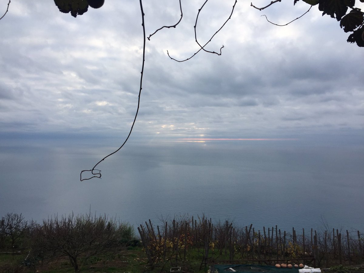 PSquillia's tweet photo. #afferrando 
la tua anima sento vibrare il cuore e vivo. https://t.co/xGUoJtSVR2