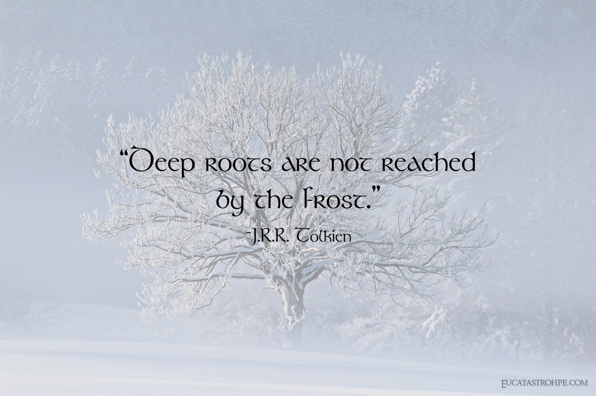 JRRTolkien's tweet photo. “Deep roots are not reached by the frost.” —J.R.R. Tolkien https://t.co/tE43HJmO5K