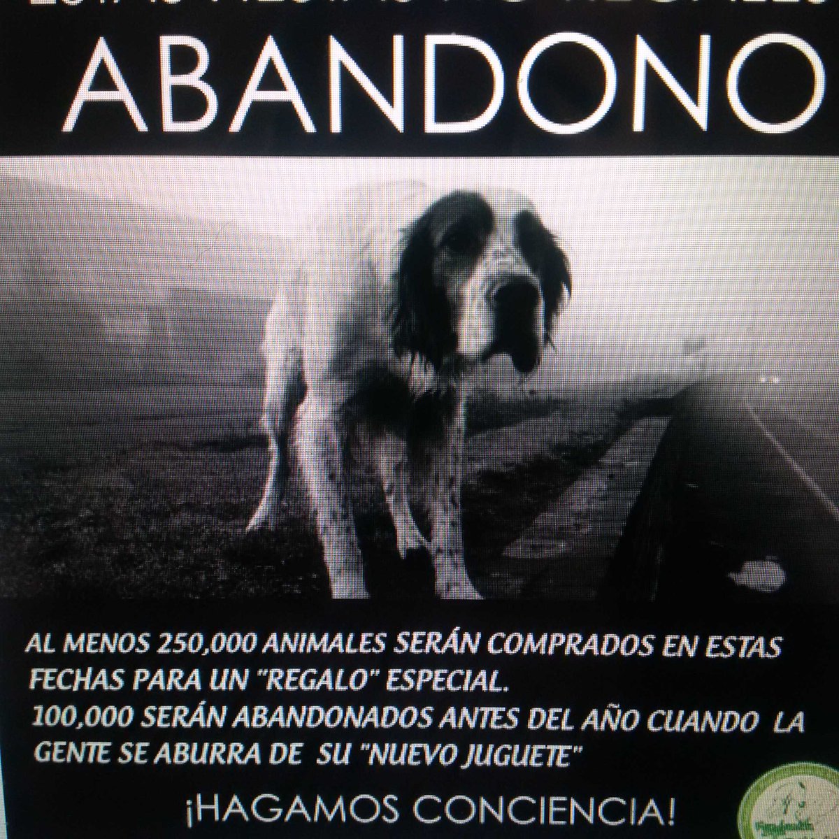 Al menos 250 mil animales serán comprados n éstas fechas como regalo y100 mil serán abandonados Evitemos este horror