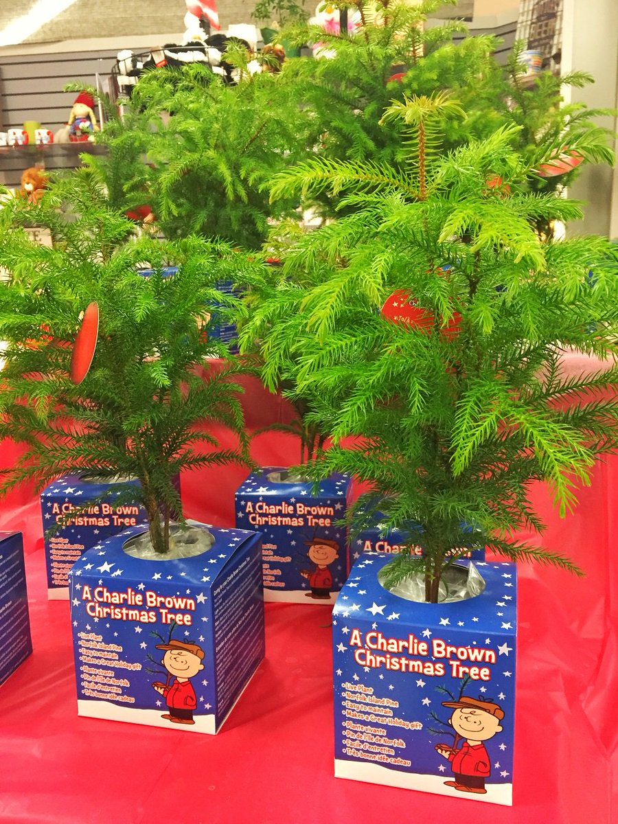 martinsmarkets's tweet image. How cute are these?! #charliebrown #charliebrowntree #goodgrief #snoopy #holidays