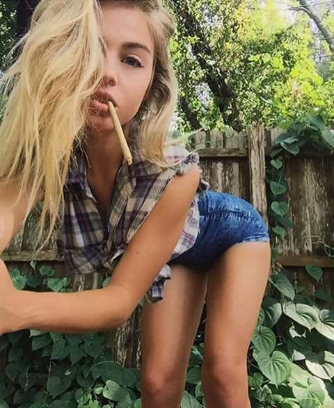 Weed_home's tweet photo. 💜 https://t.co/thpMIPjntL