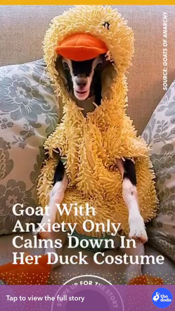 kevando_'s tweet image. so i need to send people this story