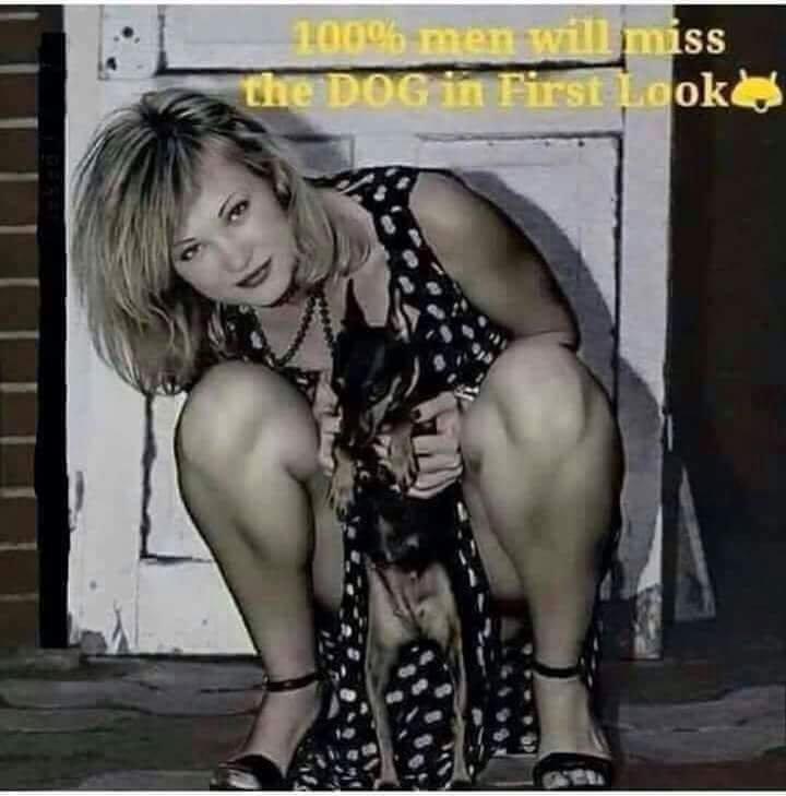 tarapoole01's tweet image. 😂😂😂😂😂😂😂😂😂