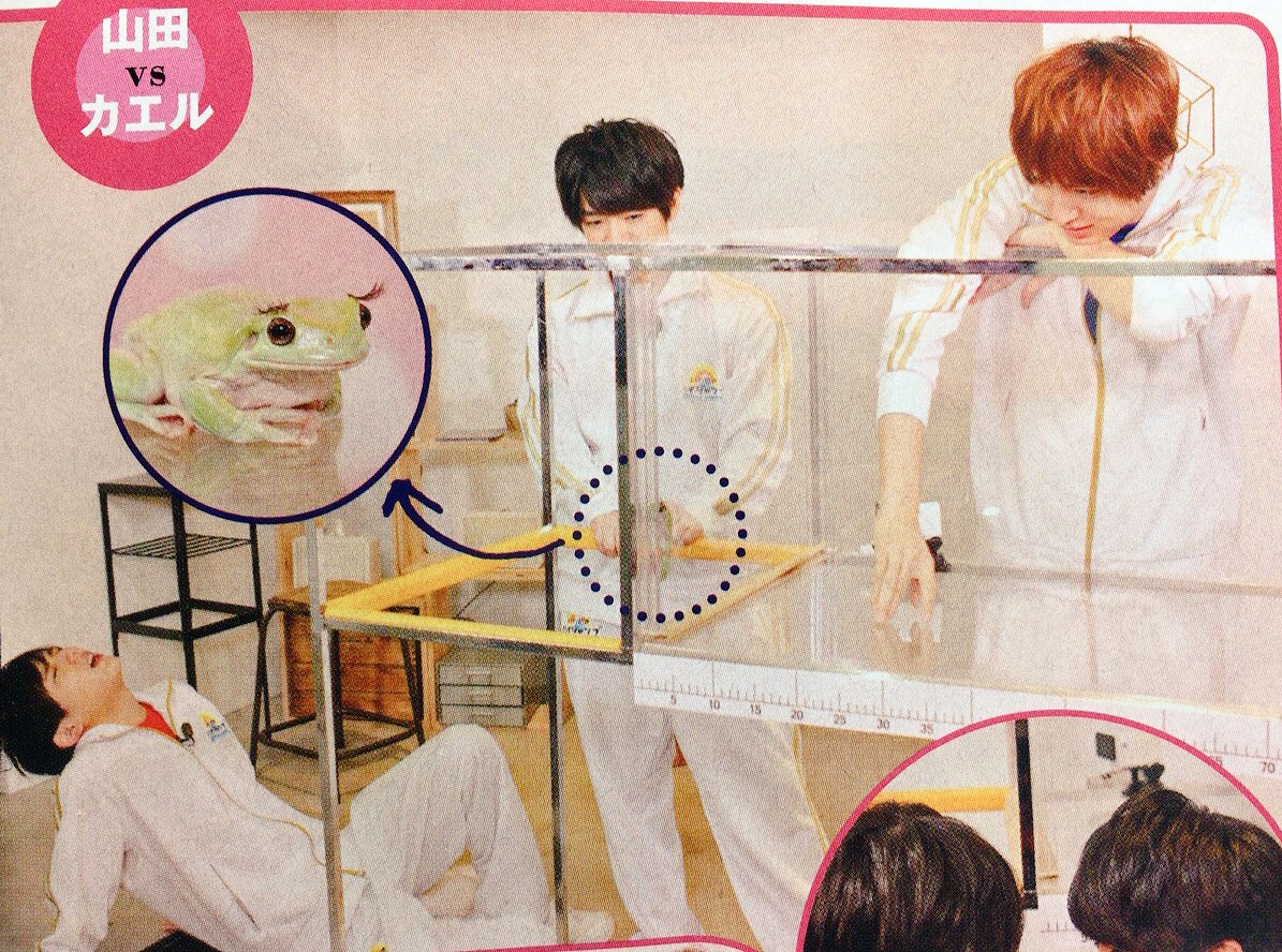 かなやん 本日のいたジャン 山田苦手克服３番勝負 山田vs納豆 山田vsカエル カエルが苦手とか最高かわいい 伊野尾くんめちゃくちゃ悪い顔ｗ Sないのちねが見られそうな