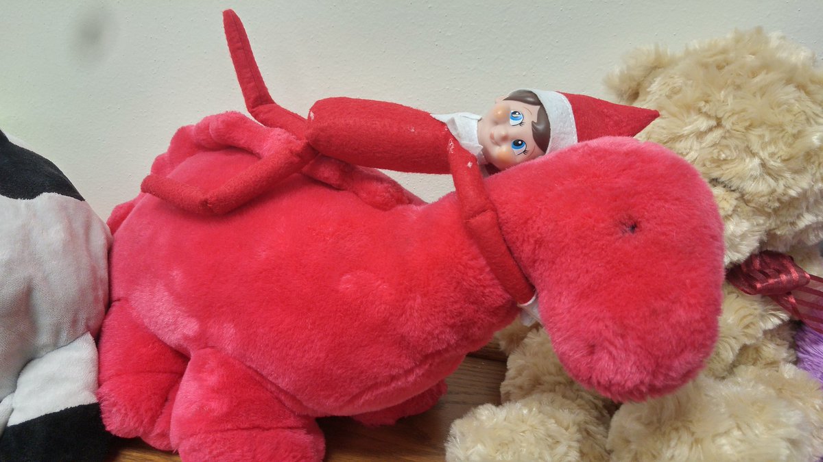 RyansRascals's tweet photo. Class elf Toby. Day 8? 9? Went for a wild ride on a bucking Brontosaurus. Yeehaw! We were the same color so kids took awhile to find me. https://t.co/ucQkUVIxVq