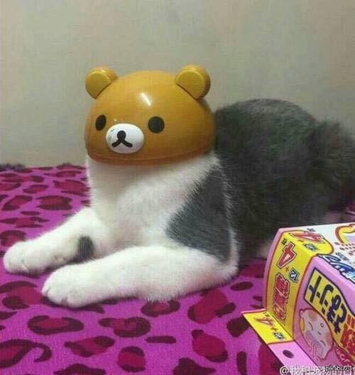 Majoras_Vox's tweet photo. University deadlines got me feeling like a shell of my former self... https://t.co/SClZo7bJRO