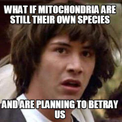 Chlorotrashed's tweet photo. Can't trust nobody 😤😠😡 #TheTruthIsOutThere 👽👾👌 #TheseOrganellesAintLoyal 😢😣😧 #RHSOrganelleWars @MsDalyBiology  #chloroblessed https://t.co/5bodzsLoxe