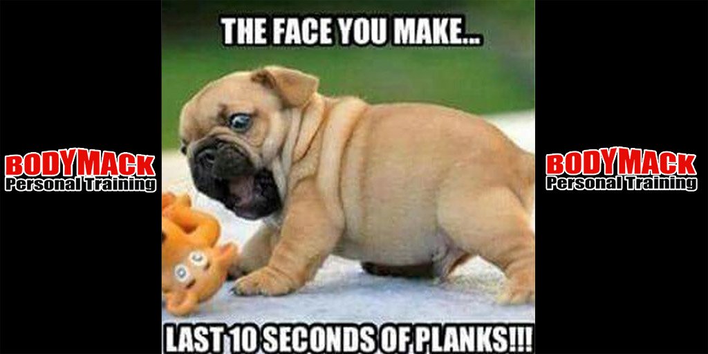 bodymackfit's tweet image. 😂😂Lol so true #gymeme #MEMES #gym