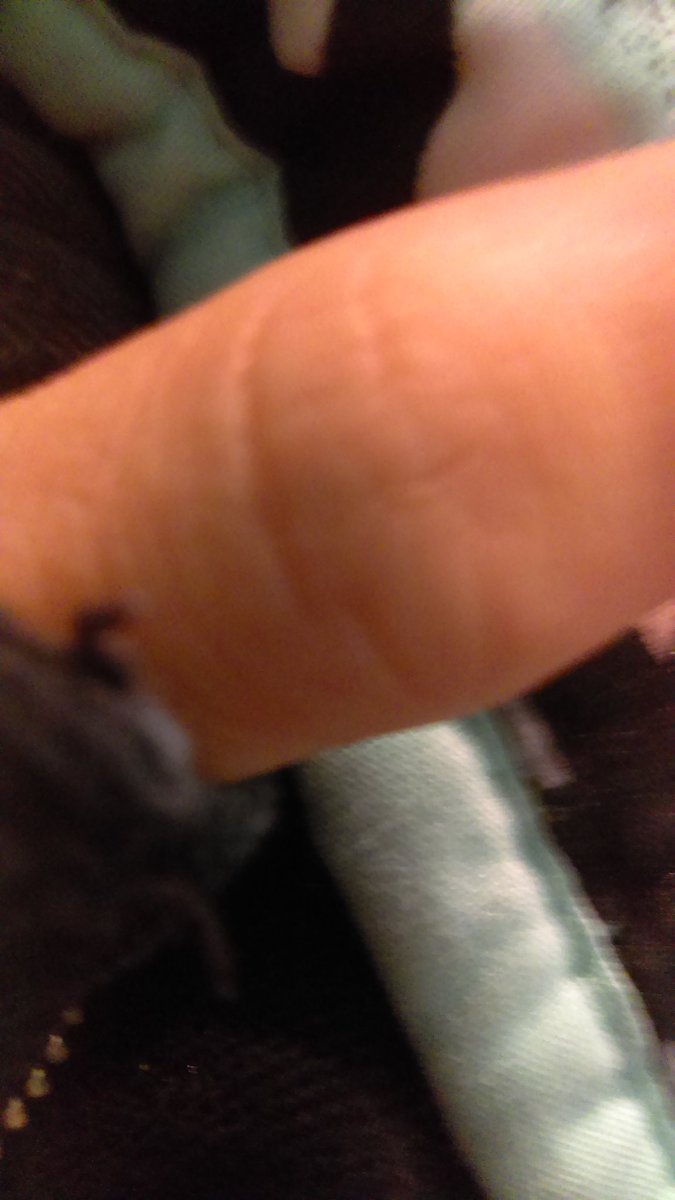 Miserys_Finest's tweet image. So this dude on #MeetMe or #Taggged hmu trying to exchange #nudes. I sent him #miscellaneous body parts of mine. #Savage #sexy #dateme #fuck