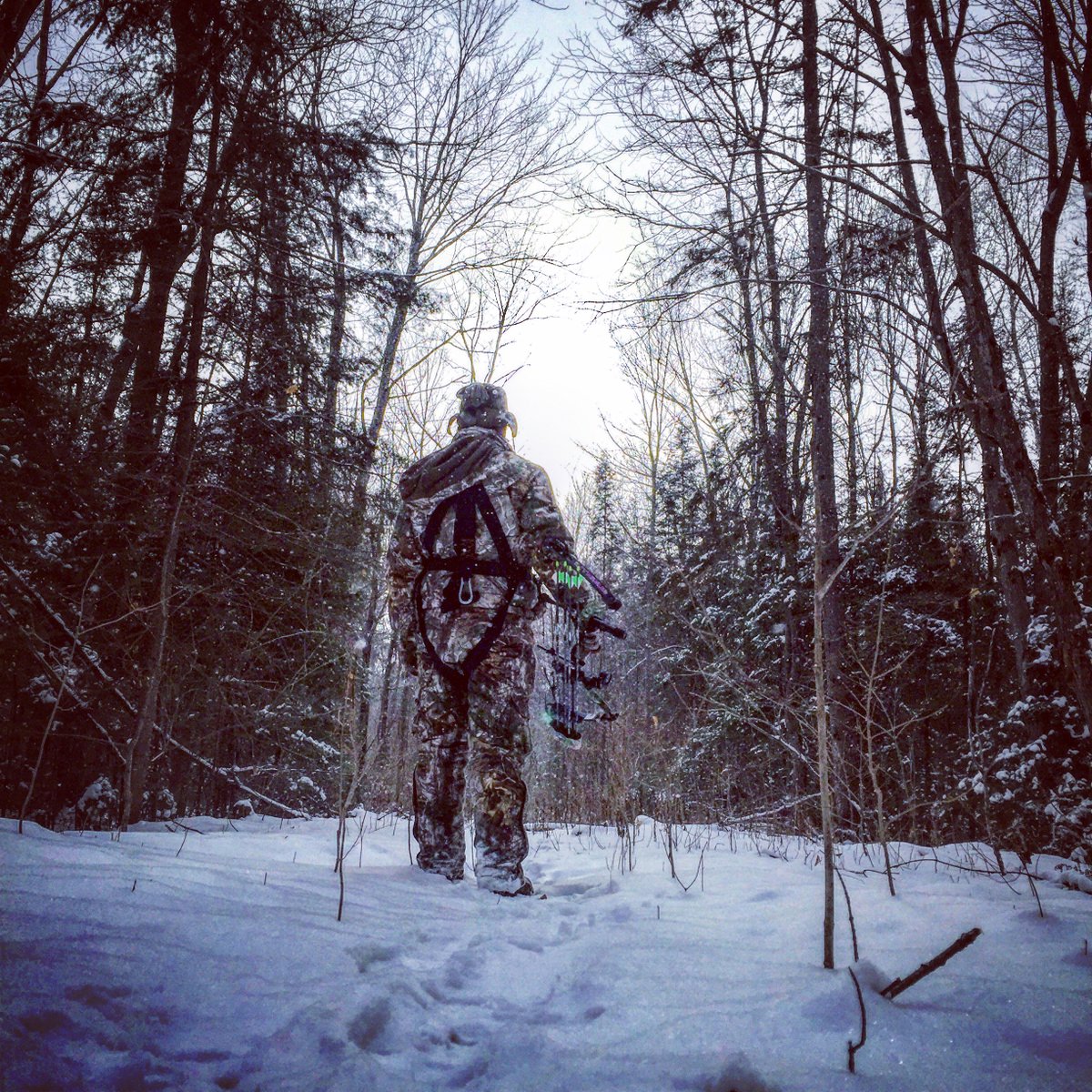 elusivebuck's tweet photo. 'It's not about the hunt...'#whatisittoyou #outdoors #nature #godscreation #friendship #family #success #knowledge https://t.co/Knh5VCXHYi https://t.co/J5EfCftfY7