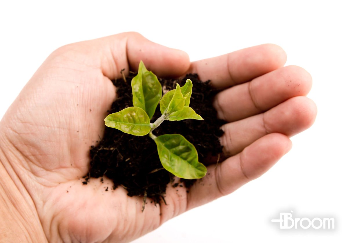 BroomApp_Clean's tweet photo. Seeking Seed Investor(s). We are excited to announce that our concept and plan is all in place... https://t.co/AGYKGfX5gf https://t.co/TFUgZY7Ygj
