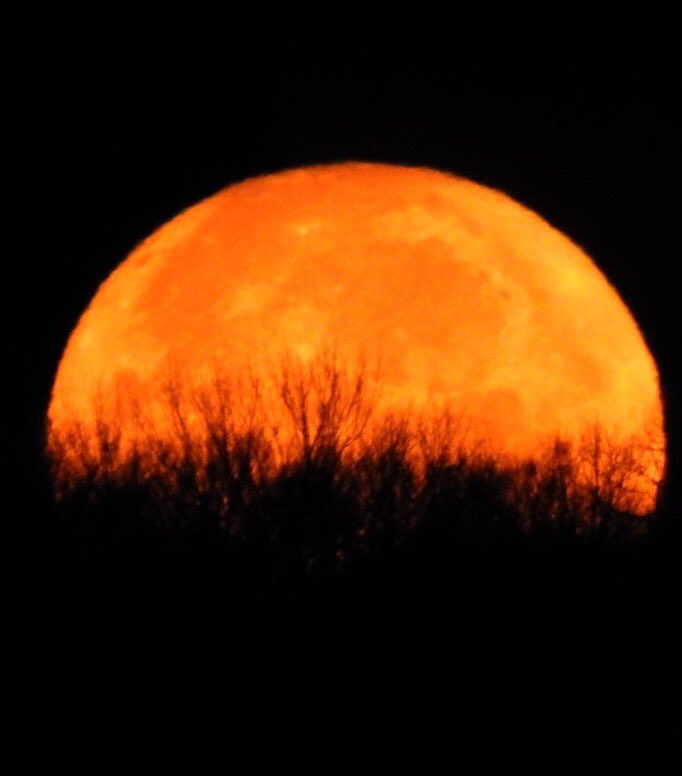 JoeNassimos's tweet photo. Tuesday December 13th 2016 full moon taken in Madison by Joe Nassimos. https://t.co/RbbZg6pks1
