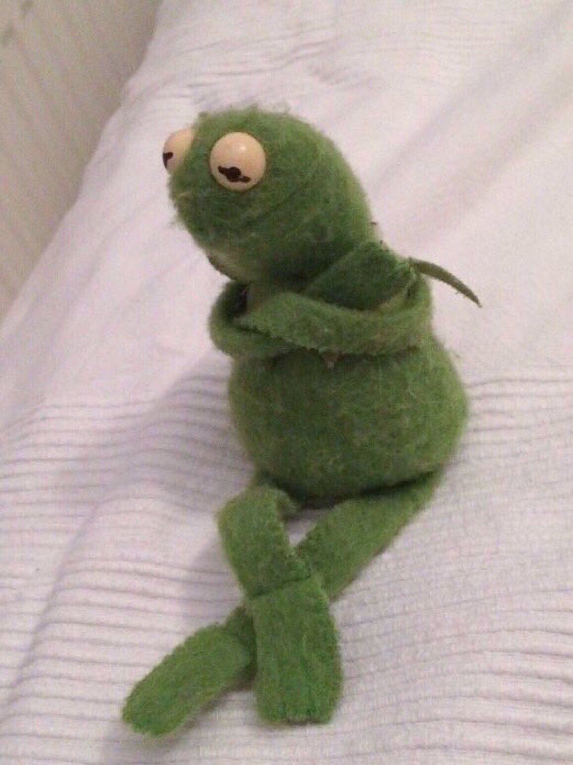 nathan zed on X WHO owns this Kermit doll and why do they keep making him look so sad https t ipLH4hAmvy X