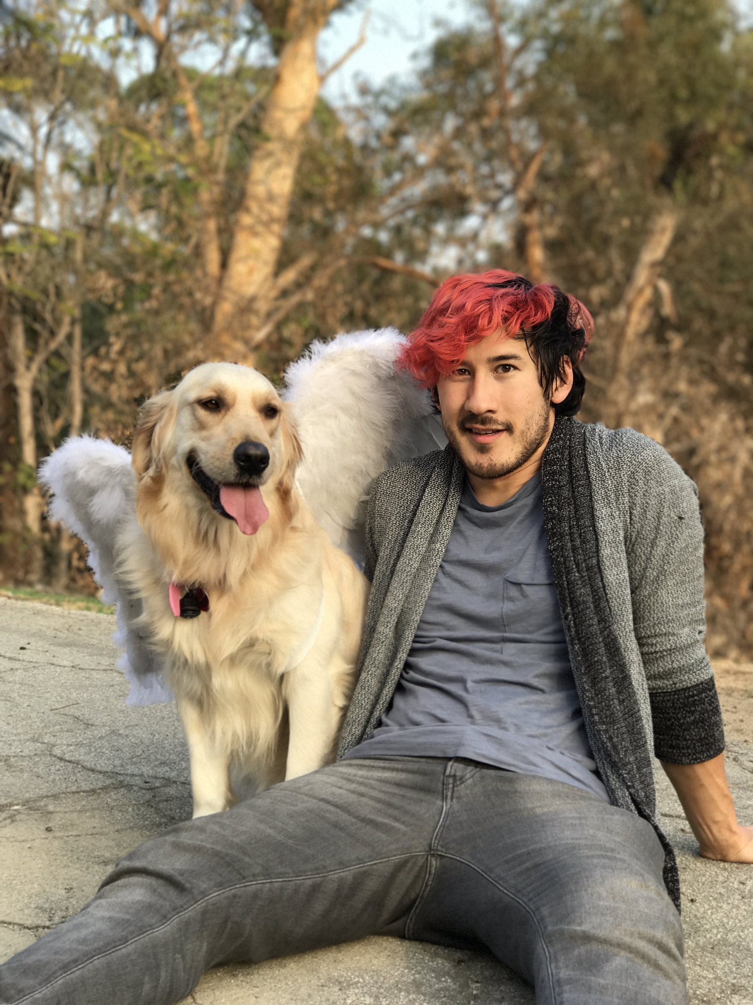 quotes late exercise on my Twitter: Markiplier favoriteâ¦