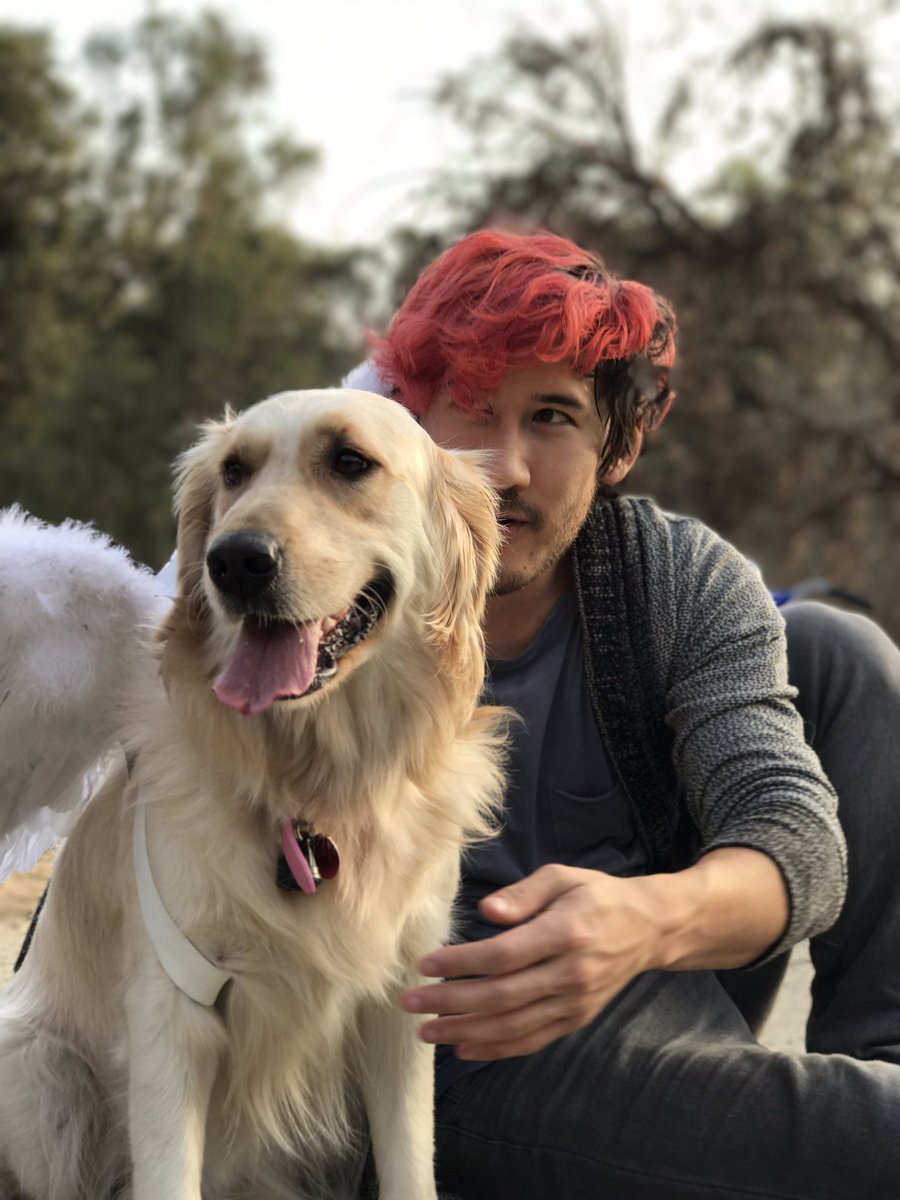 markiplier's tweet image. She&apos;s my favorite