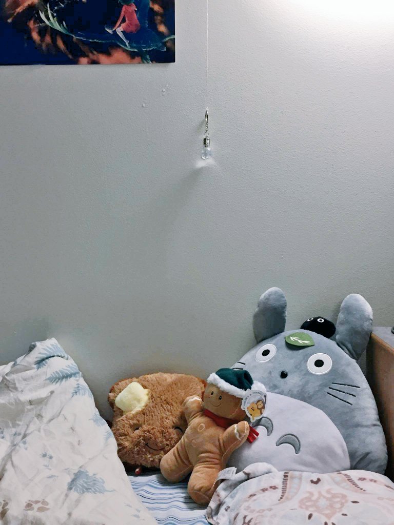 phoridaee's tweet photo. laziness at its best #ExtremeProcrastination #CSEngineer
no more getting up to turn off the lights :')
PC @dictator_demi https://t.co/sqOdiQP76n