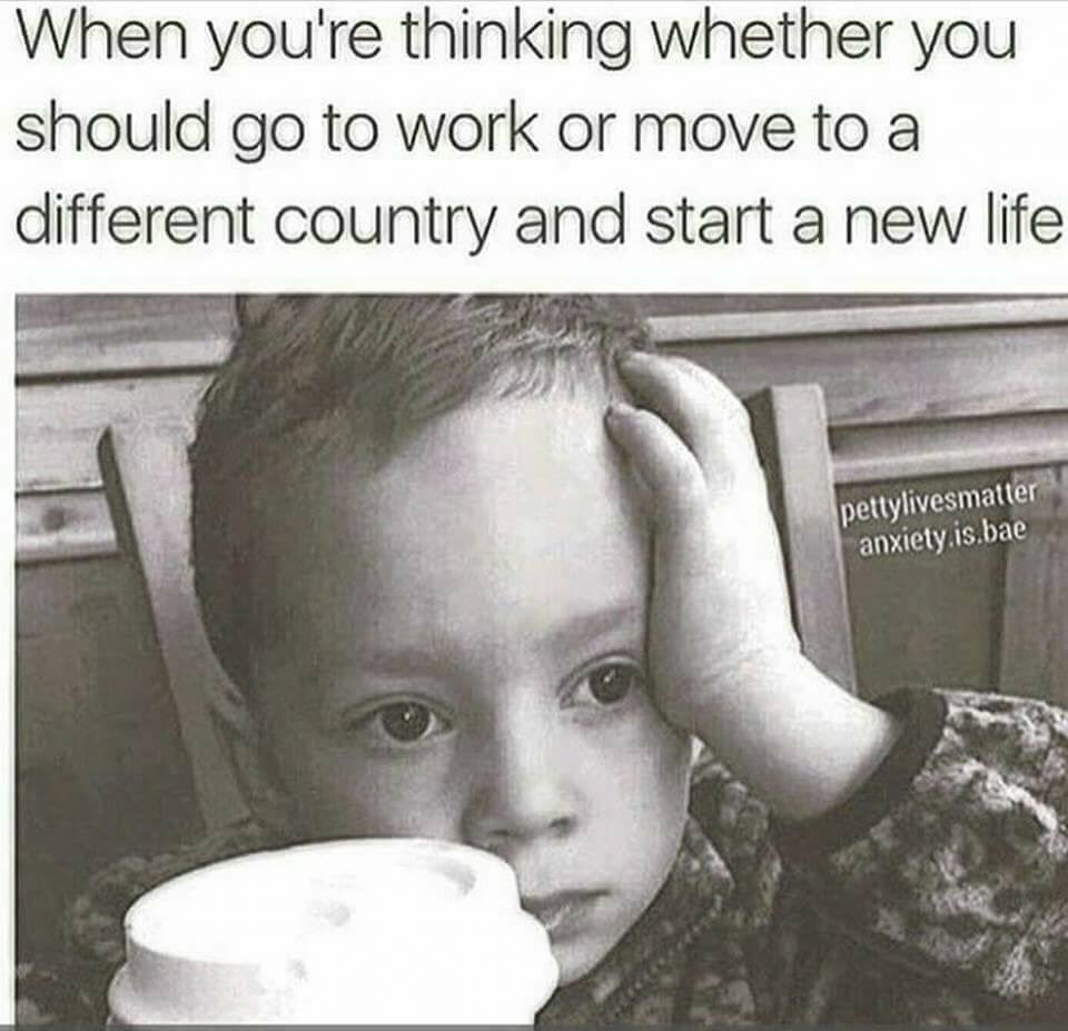 labproblemz's tweet image. Me, every day for the entire 2016.