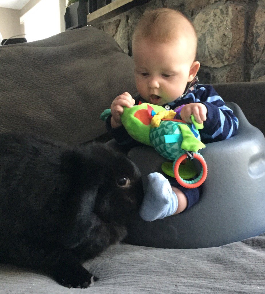 Best Friends #hoppylife #ZK3