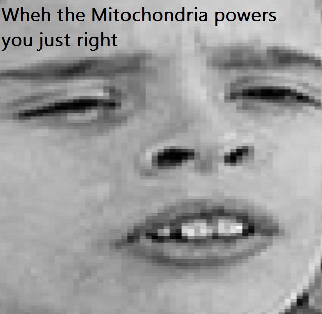 DAtMitoBro's tweet photo. #RHSOrganelleWars #Powerhouseofthecell
Just Right https://t.co/QrvxHuCZgu