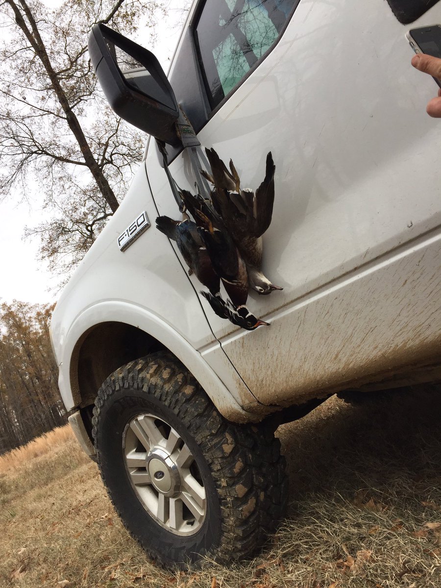 wings_outd's tweet image. A few ducks is better than none