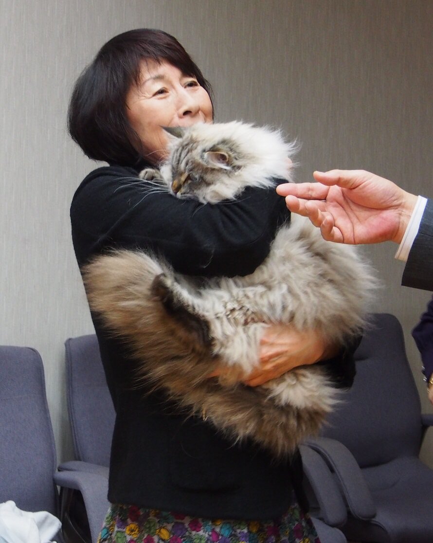 nyaaaacochan's tweet photo. 秋田犬のゆめちゃんはもちろんかわいいのですが、お礼にプーチンさんから秋田県知事に贈られたミールくんも最高にかわいいから見て。 https://t.co/rILKxAfQaN
