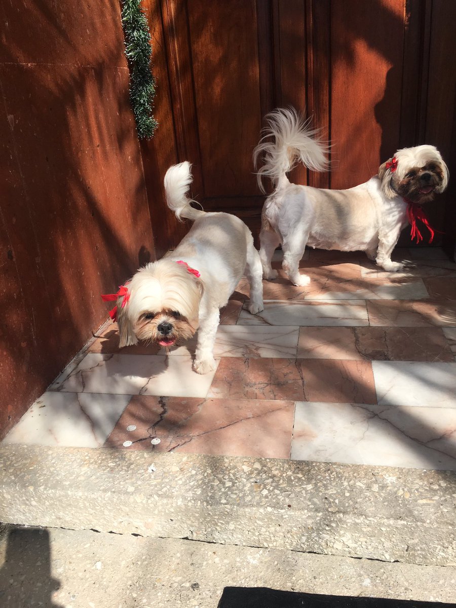 ejas2003's tweet image. Mis hijas.