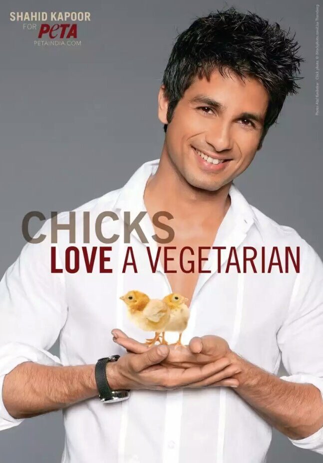 Team Shahid Kapoor tweet media