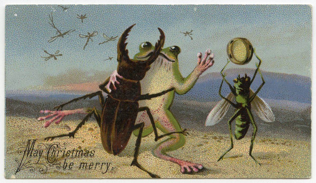 SocMexEntomolog's tweet photo. Hoy en el #entomoblog: Hermosas #tarjetas Victorianas con #insectos https://t.co/tXplFzPRy8 https://t.co/51qN3rruZW
