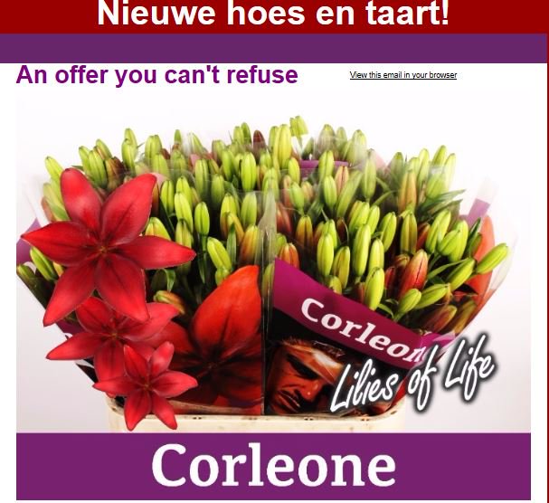 Deze week een taart te winnen voor de hoogste druk en voor de grootste klant #Lilium #Corleone Op #Klok1 en in de webshop <a href="/LiliesofLife/">LiliesofLife</a>
