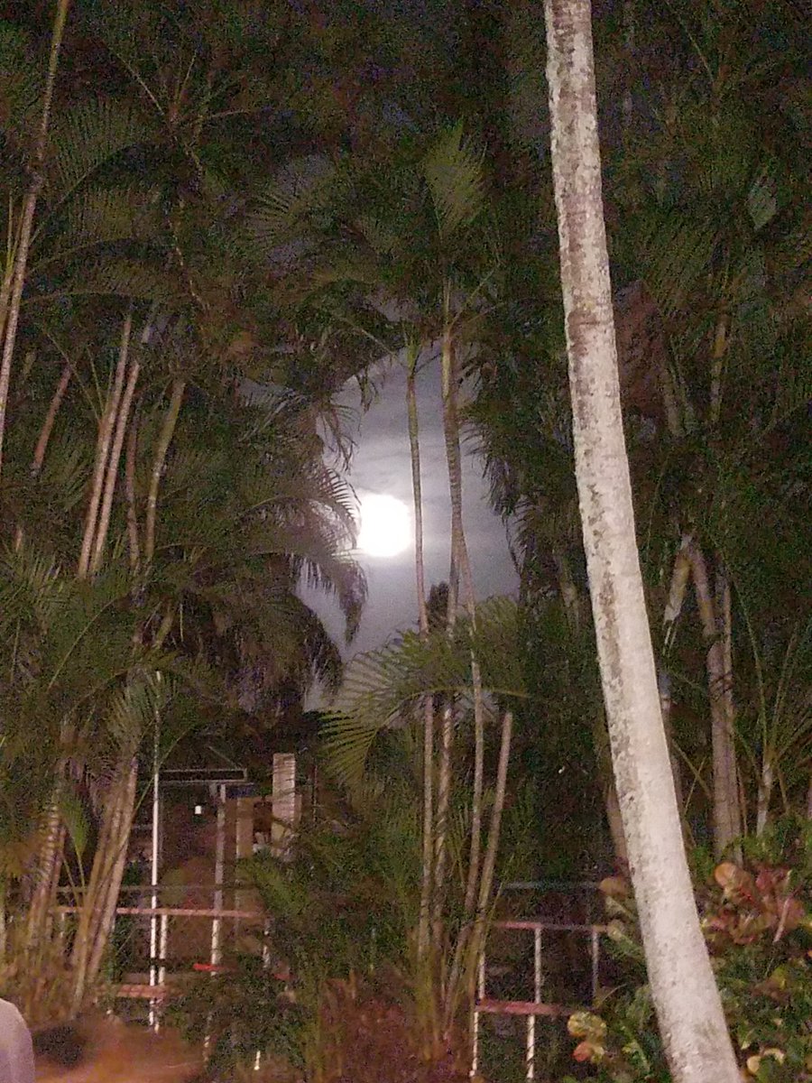 FingalNancy's tweet photo. Good night #FinFam.
From my back yard earlier this evening. #CountDownToSaturday https://t.co/I5ZgviQDWP
