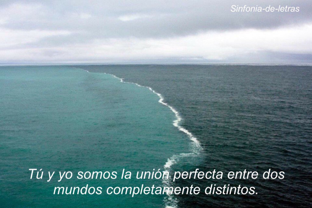 MARIO_FROST's tweet image. 😌