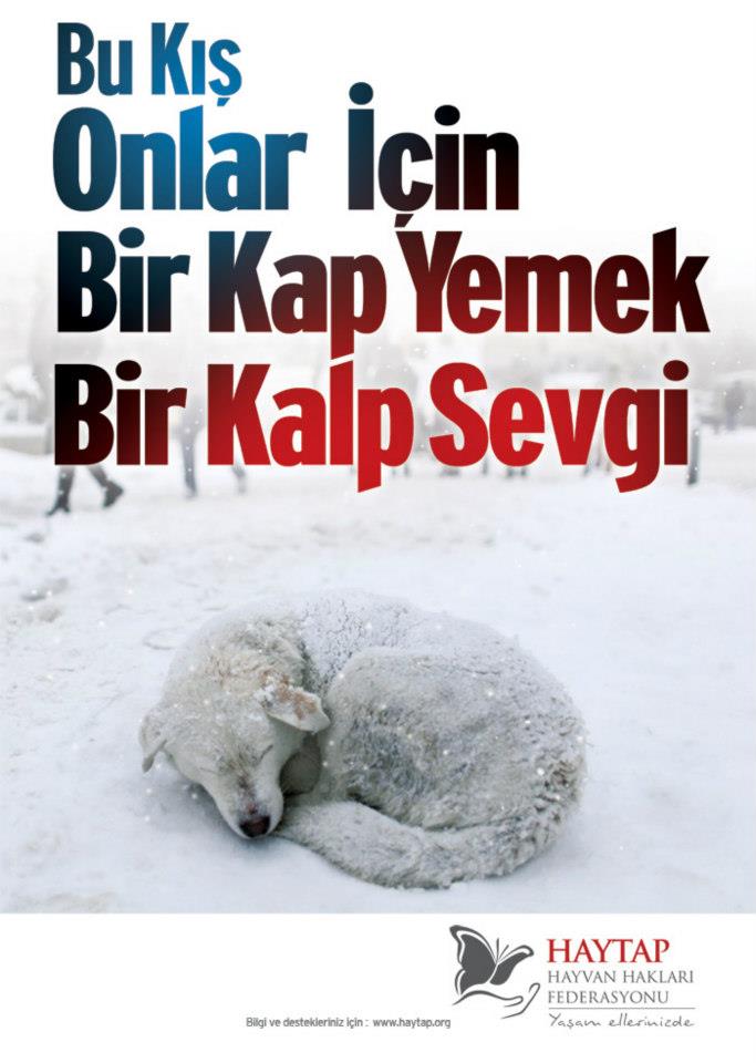 PatiDayanisma_'s tweet photo. #BirKapMama Hayat kurtarır
#KaputaVur https://t.co/AJ0p0xQ5Ey
