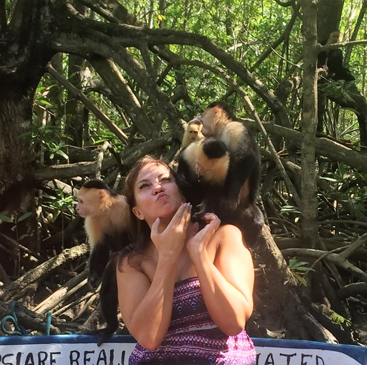 Trying to dispute the theory that I am a #crazycatlady by substituting monkeys!! #crazymonkeylady said no one EVER!! haha