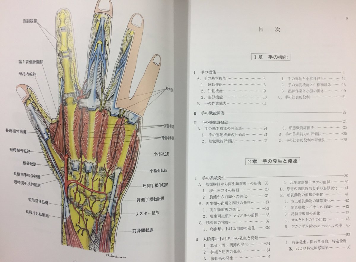 手 その機能と解剖 [新品]